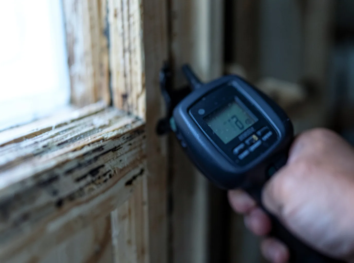 Moisture Inspection And Documentation in Pine Hill, AL